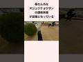 暴れん坊なオジュウチョウサンの調教映像が話題となっている #競馬 #競馬予想 #shorts