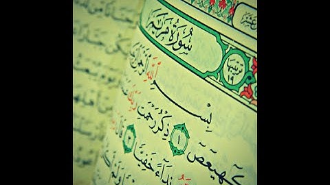 سورة مريم - الشيخ رضا عبد المحسن