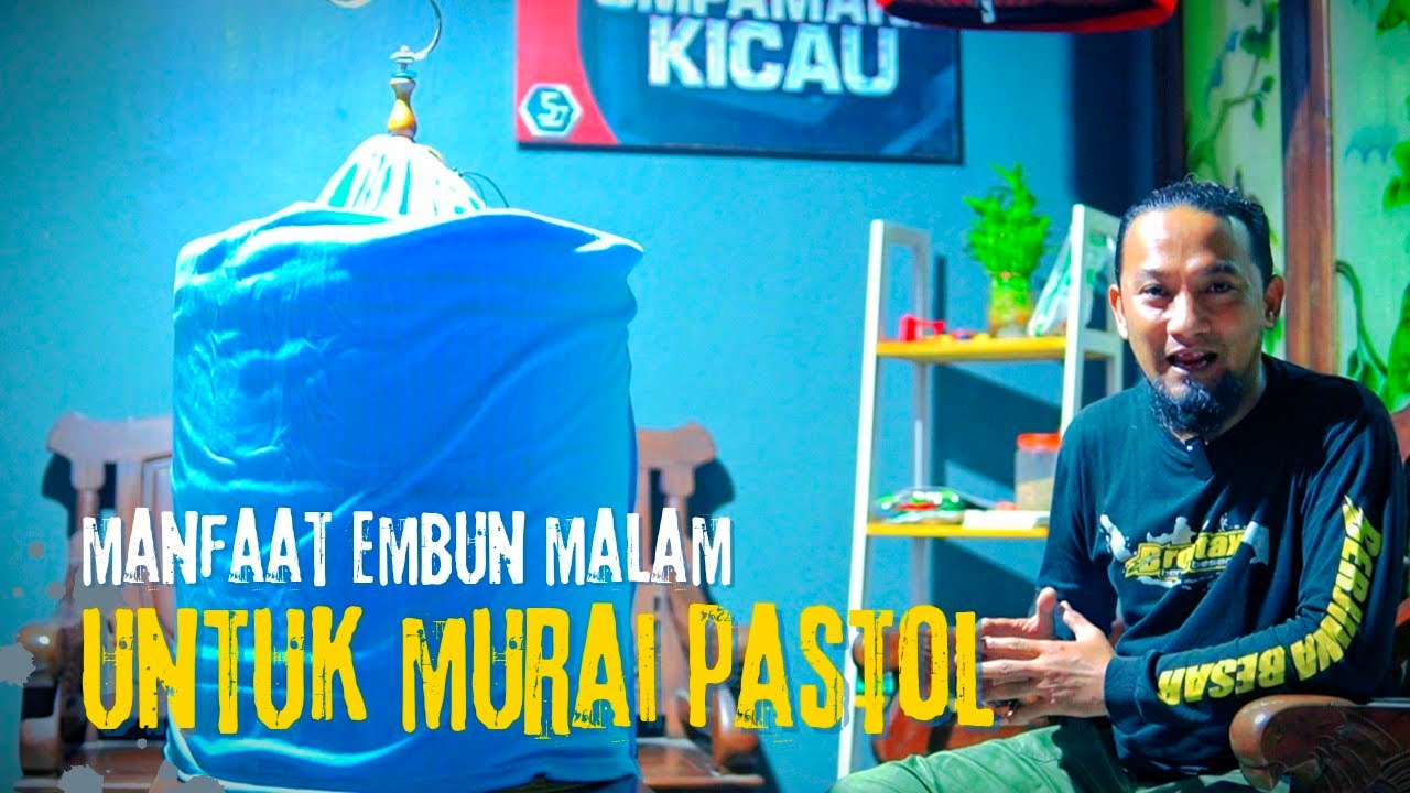 ПРЕИМУЩЕСТВА НОЧНОЙ РОСЫ‼️пастол мурай бату