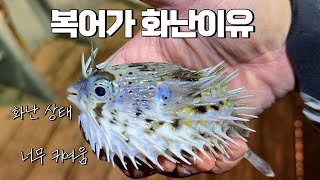 외장하드 영상모음 5연꽝!