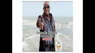 Somandla Ndebele Denda Brothers_Chembedzanai_2025