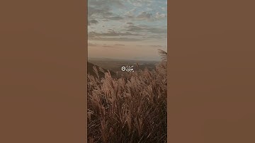 القران الكريم #اكسبلور #اكسبلور_explore #لايك #المصحف #القرآن_الكريم #حالات_واتس #الرحمن #دويتو