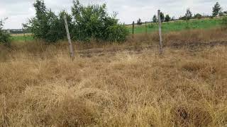 Video of plots for sale in Kisaju in Kajiado county