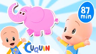 Surprise Eggs (Elephants) and more educational videos for kids with Cuquin