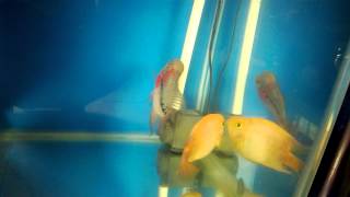 WP 20140407 006