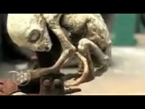 تصوير حقيقيى لجن نباش القبور هادر قصص رحله الى ارض الجن