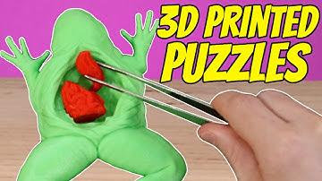Fun and Educational Puzzles 3D Printed