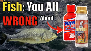 They Say It Attracts Fish, Truth is......