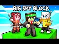 MI SONO FINTO STEF su MINECRAFT! - BIG SKYBLOCK