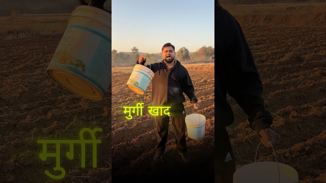 100 kg murgi khad vs 100 kg gobar khad &ndash; kaunsi khad kis soil pH me zyada faydemand? #farming