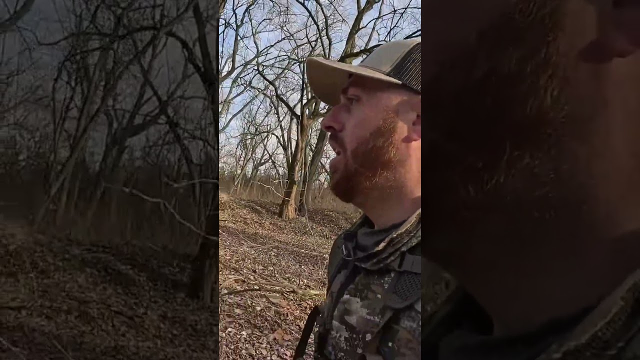 Washed Out Deer: What the Heck? Shocking Find in the Woods! #shorts