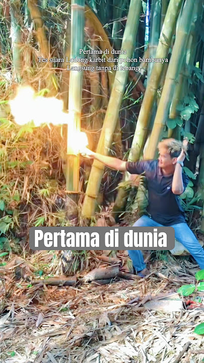 Tes suara lodong karbit langsung dari pohon bambunya #lodong #karbit #fyp