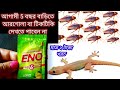 🔥মাত্র 2 মিনিটের মধ্যে আরশোলা বা টিকটিকি বাড়ি থেকে দূর হয়ে যাবে🔥Kitchen tips//cockroach killer