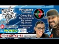 Going Big in Ball Pythons - Proper Royals Live! w/Portuguese Pythons