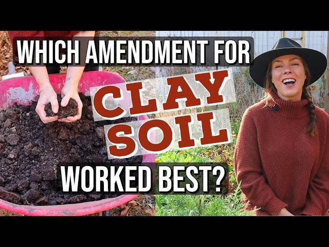 Is red clay costing you Green?