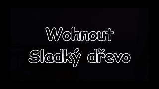 Wohnout - Sladký dřevo | TEXT | Pavel Kozler