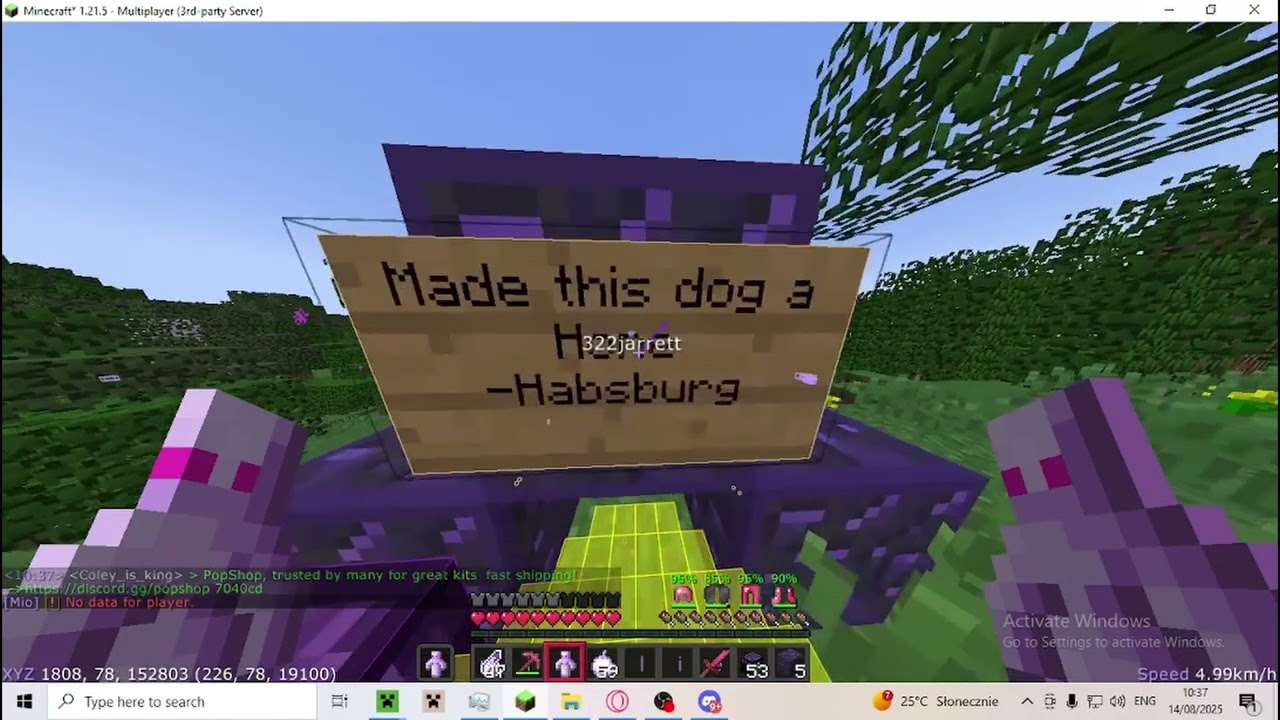 basehunting and telling stories chill video