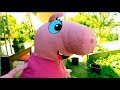 Реальная Жизнь Свинки Пиги №7- На санках летом