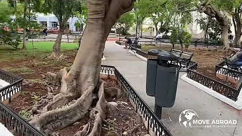 Merida: Living in Centro vs 'The North'