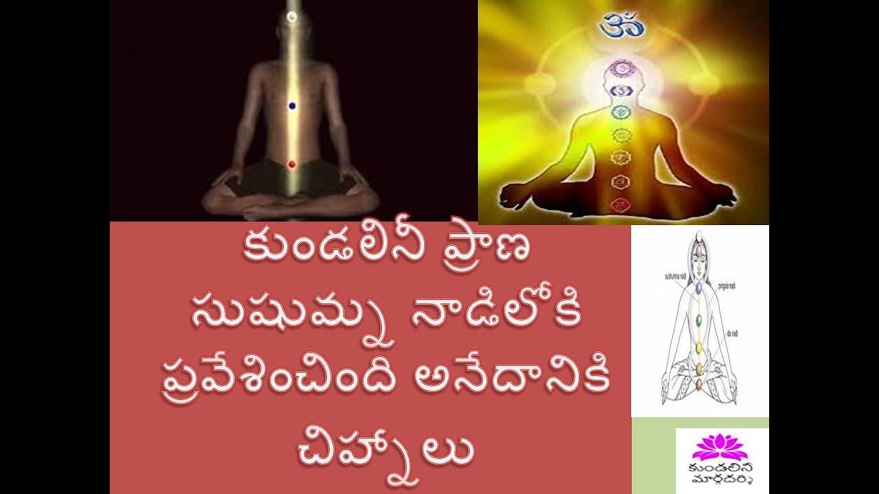 కుండలిని/ఆధ్యాత్మిక జాగృతి, సుషుమ్న, ఈడా-పింగళ నాడులు,  KUNDALINI SYMPTOMS, PRANA, LIGHT WORKERS