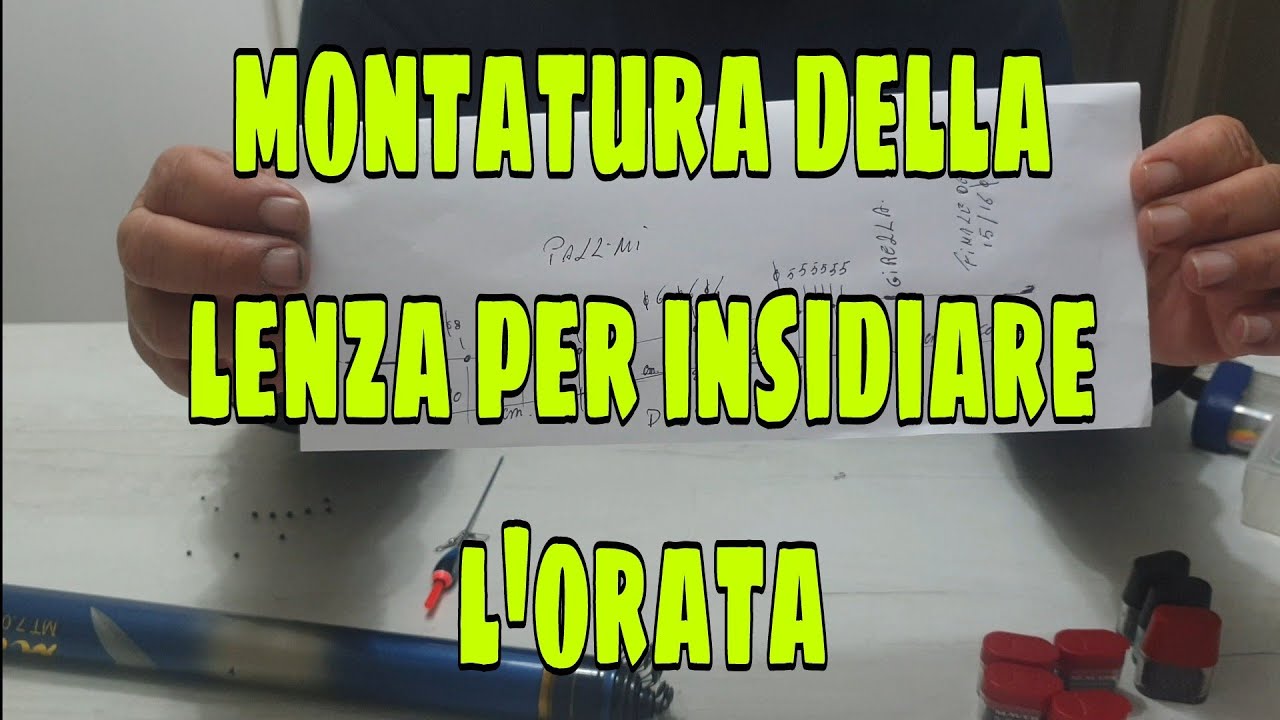 pesca con la bolognese all'orata, lenza per acque poco mosse (prima parte)