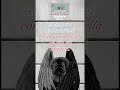 Xhelazz_Alas Rotas_El soñador elegido2007.1  #rap #musica #hiphop #xhelazz #shohai #alasrotas