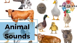 How to: Teach Animal Sounds using ABA