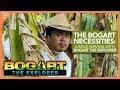 The Bogart Necessities: Jungle Survival with Bogart the Explorer