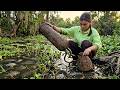 Eine Alleinerziehende Mutter Fängt Einen Seltsamen Fisch Im Schlamm Mit Einer Erstaunlichen Eine Alleinerziehende Mutter Fängt Einen Seltsamen Fisch Im Schlamm Mit Einer Erstaunlichen