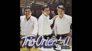 TRIO ORIENTAL EXITOS TROPICALES ENGANCHADOS