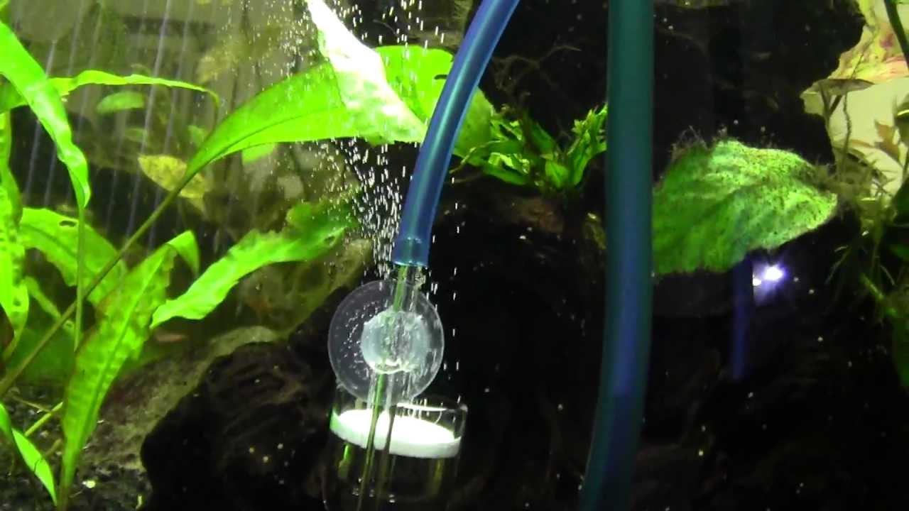 Breeder Tank Co2 System Bio Load Balance Reference: DIY Co2 On 40 Gallon Breeder Tank