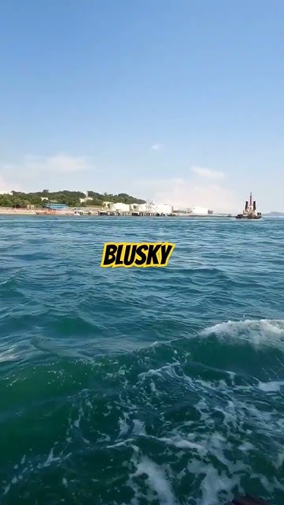 #blusky - YouTube