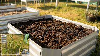 The Secret to a Successful Fall Garden Start With THIS Cleanup