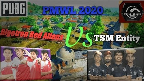 [PMWL 2020] BTR Bridge Camp Against TSM Entity