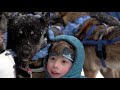 Recap: The 2020 Iditarod Trail Sled Dog Race