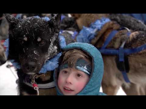 Recap: The 2020 Iditarod Trail Sled Dog Race
