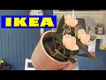 ИКЕА😍ХОЧУ ТРАТИТЬ ДЕНЬГИ ТОЛЬКО ТУТ😍Новинки Ikea круче Fix price февраль 2021