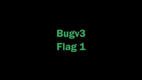 [Hacker101] Bug DB v3 Flag 1