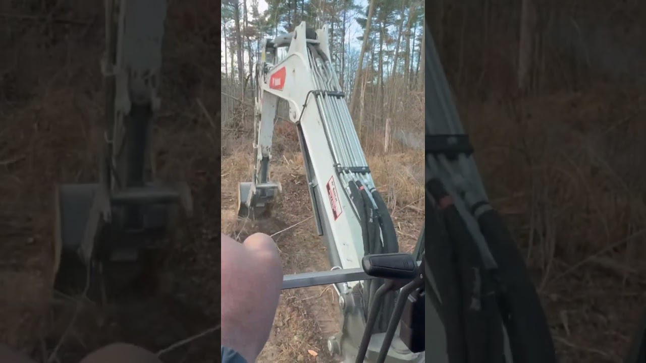 Cleaning up wooded area