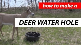 Deer Water Hole - DIY