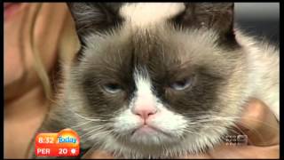 Karl Stefanovic Interviews Grumpy Cat on Today Show