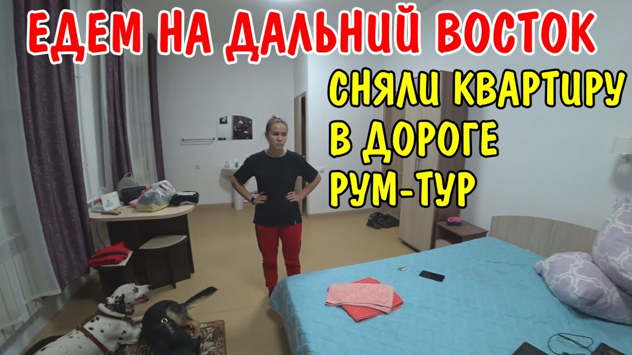 Едем через всю Россию с собаками на машине  - сняли квартиру