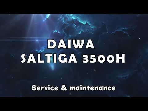 Daiwa Saltiga 3500h Full tear down, service & maintenance 