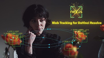 Blob Tracking Effect for DaVinci Resolve - DCTL Plugin