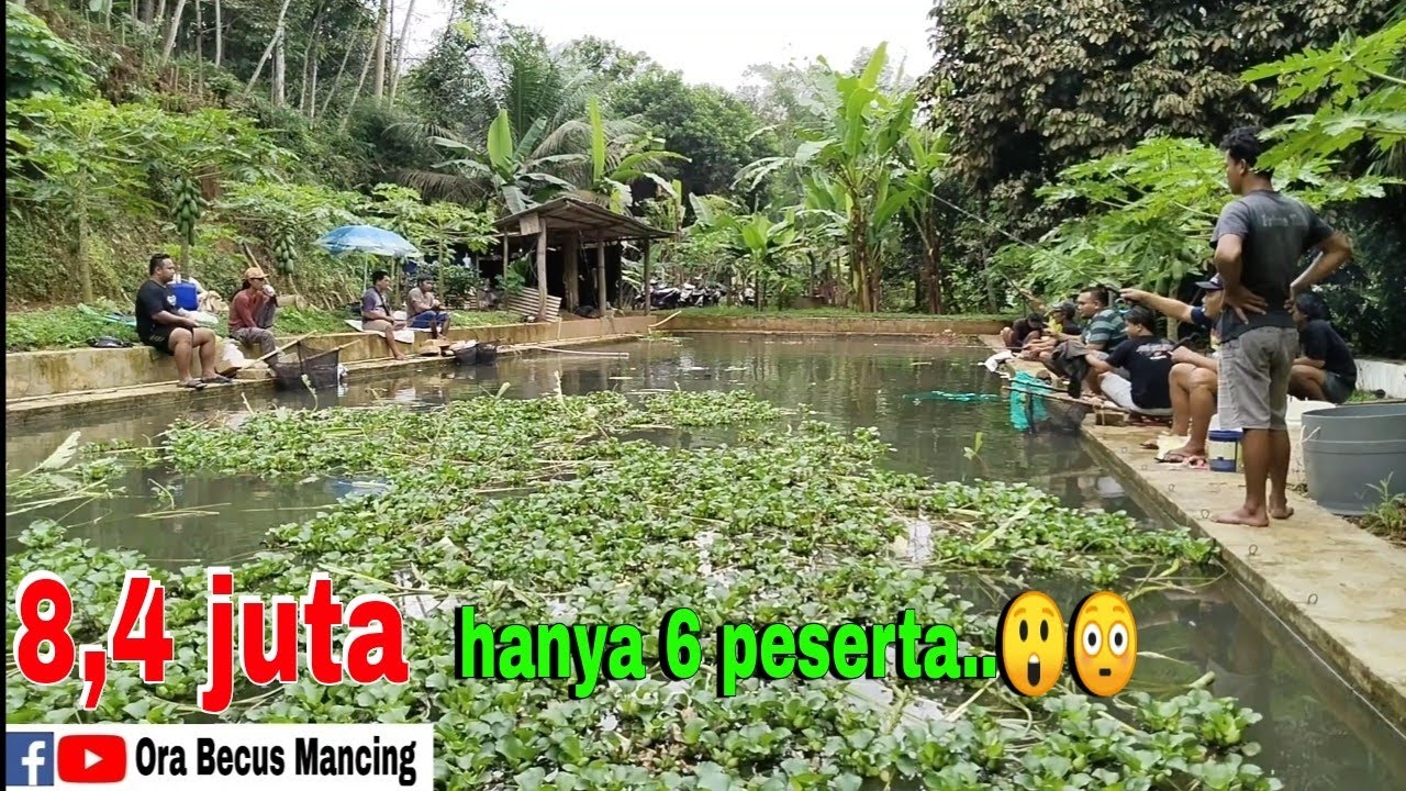 Sampean pancen jos‼️Mancing bawal 8,4 juta hanya 6 peserta.. YouTube