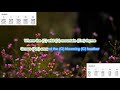 Wild Mountain Thyme (no capo) by Ed Sheeran play along with scrolling guitar chords and lyrics