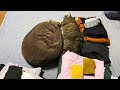 KOO洗濯物に同化中【くーたの部屋】stanza del gatto
