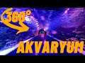 360° DÜNYA'NIN EN UZUN TÜNEL AKVARYUMU ! / 4K (TR-EN-РУ) #Akvaryum