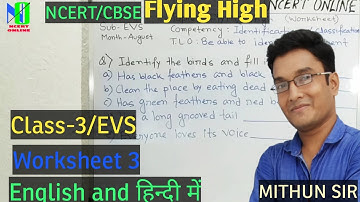 Flying High Class 3 EVS | Evs Worksheet For Class 3 | Flying High | NCERT