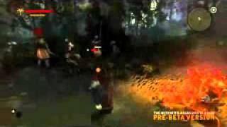 The Witcher 2 Assassins Of Kings Gameplay In Vergen, Fight & Minigames